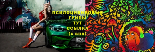 прущий лед Алзамай